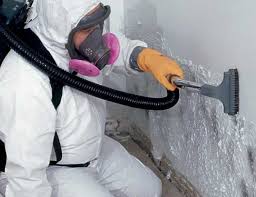 Best Residential Mold Inspection & Testing  in Ford City, CA